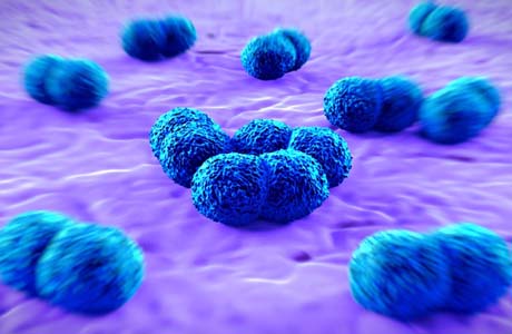 Meningite pode ser causada por bactérias, vírus, fungos e parasitas