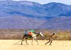 Municípios