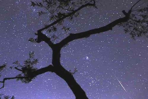 Meteoros Perseidas terão máxima intensidade às 2h desta terça-feira