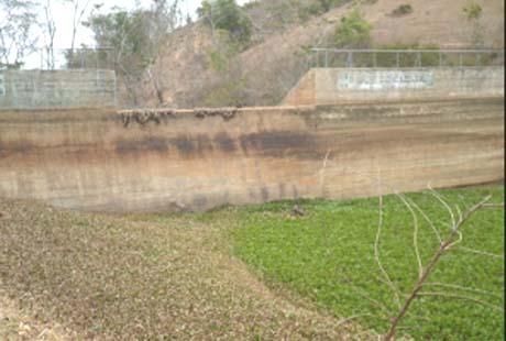 Sem água em barragem, municípios sobrevivem com água de carros pipa 