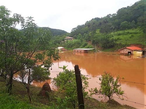 Chuvas provocam perdas de 119 mil hectares de lavouras em Minas Gerais