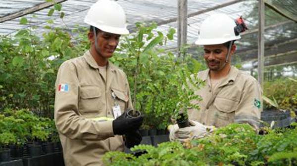 MVV atinge marca histórica de 1.000 empregos diretos no Agreste alagoano