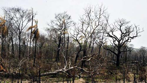 Cientistas da ONU estudam as dramáticas mudanças a curto prazo do aquecimento global