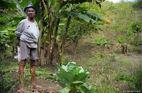 IBGE: campo está mais feminino e mais velho