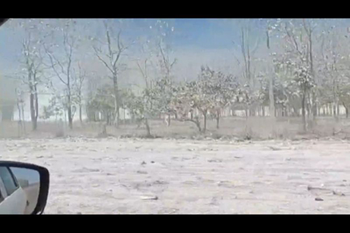 Moradores filmam ‘neve’ no Tocantins; calcário produzido na região encobriu vegetação  