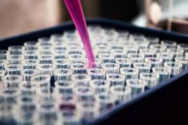 O que é teste in vitro? Saiba mais sobre os experimentos com nitazoxanida