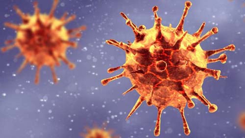 Coronavírus: as mutações do Sars-Cov-2 que intrigam cientistas