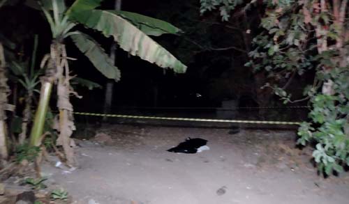 Briga familiar em Taquarana deixa um irmao morto e outro ferido