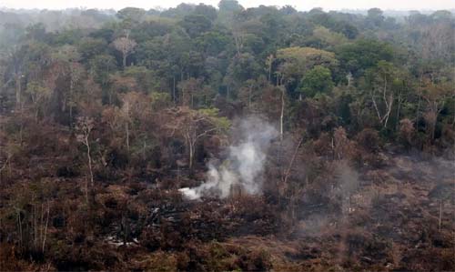 Delegado da PF diz que há indícios de ação coordenada em incêndios