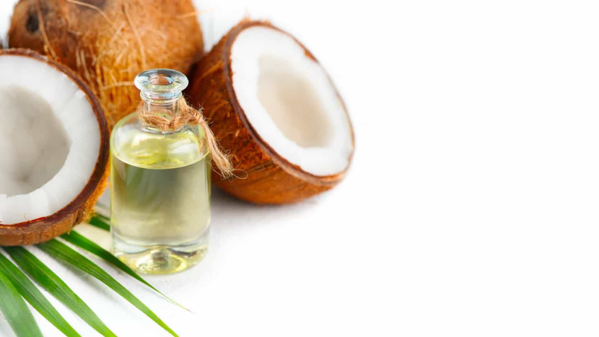 Cientistas afirmam que óleo de coco destrói o novo coronavírus