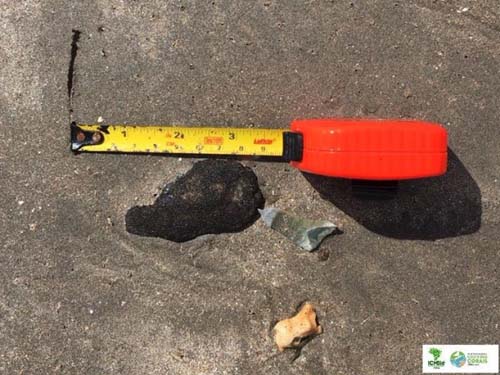 Novos fardos e fragmentos de óleo são encontrados no Litoral de Alagoas