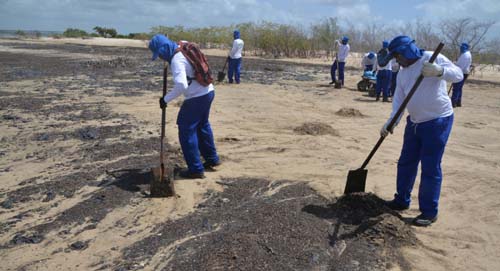 Óleo no Nordeste é um dos piores acidentes ambientais da história do Brasil, diz oceanógrafo