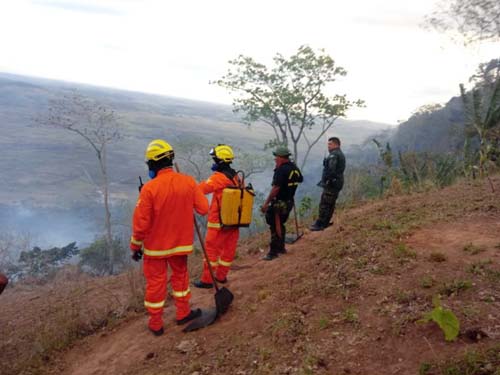 Brigadistas alegam que incêndio na Serra da Barriga teve origem criminosa