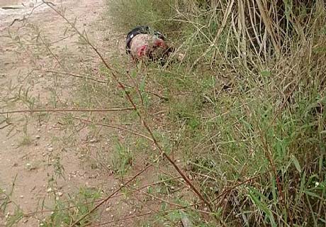 Rio Largo: corpo decapitado é encontrado em canavial
