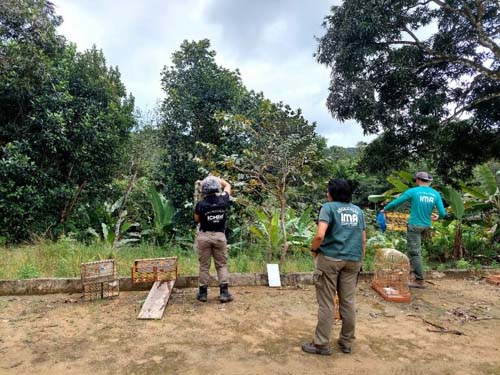 Operação Curupira apreendeu 178 aves silvestres e emitiu mais de R$ 50 mil em multas