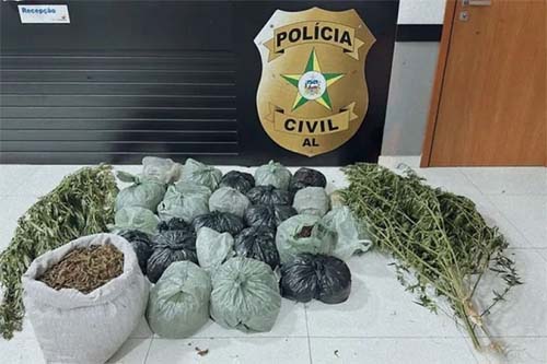 Operação policial resulta em prisões e apreensão de 25 quilos de maconha em Mata Grande