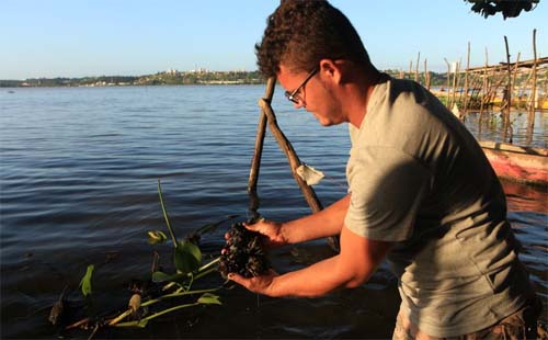‘Saneamento é apenas parte da resolução’, diz pesquisador