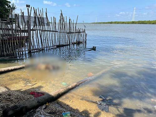 Corpo é encontrado boiando na lagoa às margens de avenida no bairro Levada