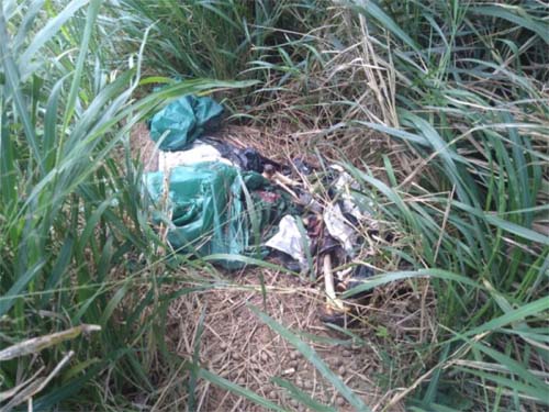 Ossada humana é encontrada em trecho situado na zona rural de Porto Real do Colégio