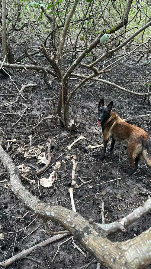 Achado macabro na Lagoa Mundaú: corpo e ossada completas causam comoção na região do Vergel do Lago