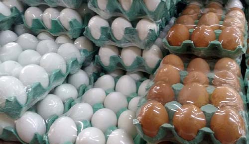 Produção de ovos de galinha cresceu 9,3% em Alagoas em 2020, diz IBGE