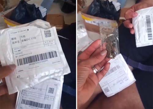 Em Maceió, dona de casa recebe sementes da China em pacote com celular; veja vídeo