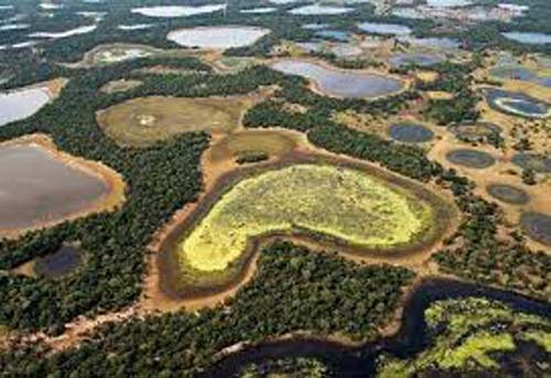 Por que Pantanal vive 'maior tragédia ambiental' em décadas