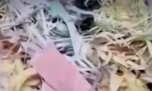 Procon Uberaba multa funerária que colocou papéis picados dentro de caixão