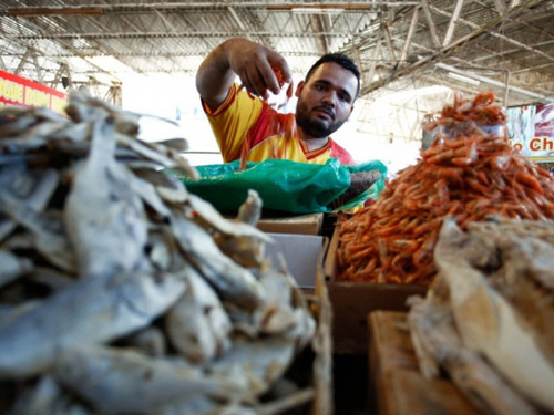 Desinformação e medo prejudicam as vendas de pescado em AL após manchas de óleo