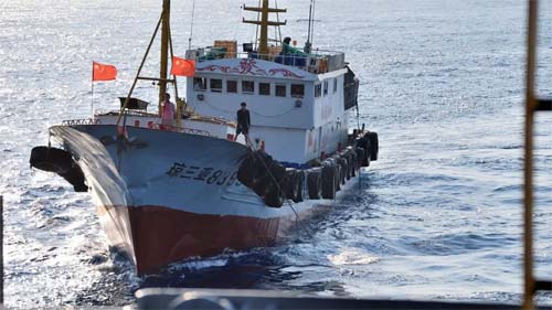 Disputa nas Ilhas Malvinas favorece pesca descontrolada e impacta ecossistema