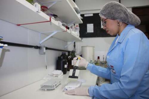 Vinte e seis projetos de pesquisas serão apresentados por Fapeal e Sesau em seminário