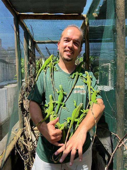 Popularidade crescente de animais exóticos como pets no estado de Alagoas