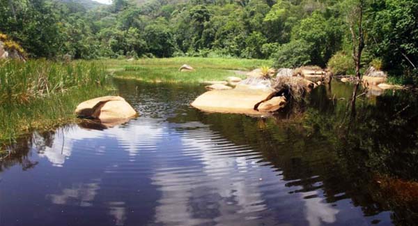 Casal é assassinado com tiros e pauladas na cabeça em zona rural