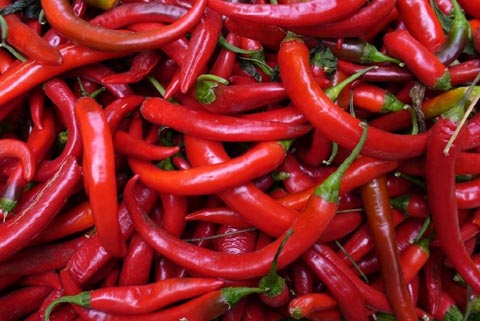 Tudo o que você precisa saber sobre a pimenta