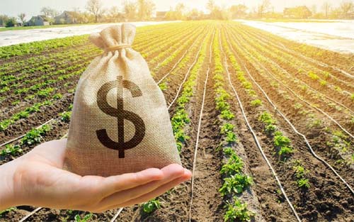 Plano Safra passa de R$ 115 bilhões na contratação de crédito