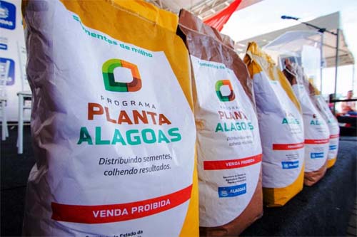 Inscrições para o Planta Alagoas 2024 são prorrogadas até 15 de março para agricultores familiares