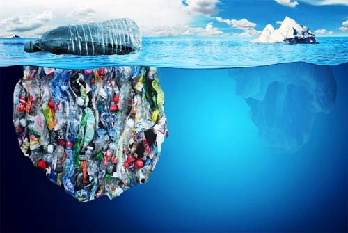 Plástico mata 1 em cada 10 animais marinhos no Brasil