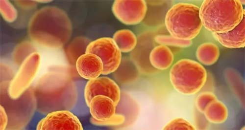 Alagoas tem mais de 6 mil internações por pneumonia em um ano