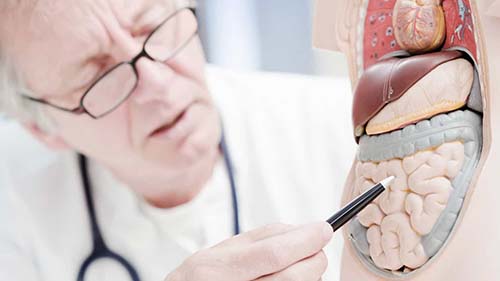 Pólipos? Entenda a importância de retirá-los do seu intestino