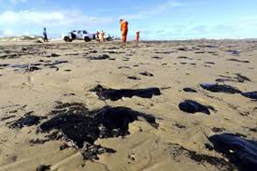 Situação do óleo nas praias de Alagoas é destacada