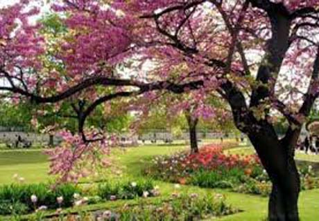 Primavera: estação das flores, ou das tempestades? A nova estação começa nesta segunda-feira, às 23h29 