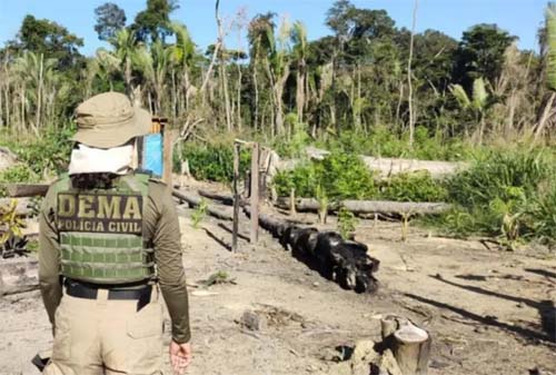 Pantanal: como 'furos' em lei permitiram a fazendeiro suspeito de usar agrotóxico da Guerra do Vietnã receber empréstimos públicos