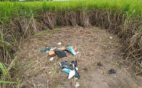 Operação de apreensão revela avião carregado de drogas no litoral de Alagoas