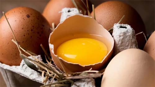 Queda de 20% no Preço do Ovo desde 2022 Atinge Menor Valor em 12 Meses