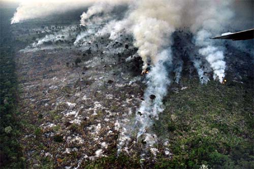 Amazonas bate recorde de queimadas pelo segundo mês