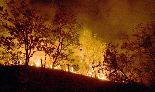 Queimadas persistem na Amazônia; cidades do PA superam 1 mil focos