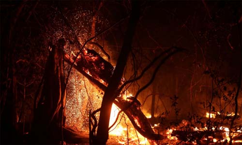 Polícia Federal prende suspeitos de incêndio criminoso e incêndio ilegal