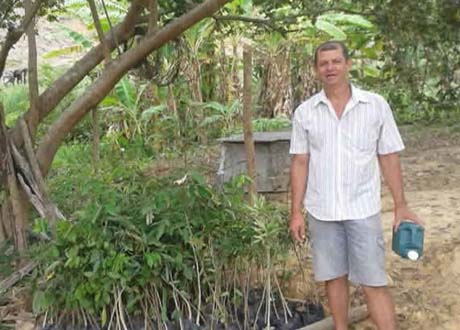 Vales do Mundaú e Paraíba vão receber um milhão de mudas nas matas ciliares