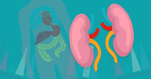 Síndrome de Haff, ou doença da urina preta: conheça e saiba como agir