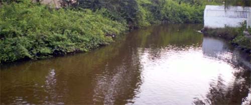 IMA alerta sobre riscos nas praias e fozes dos rios nos períodos de chuva em Alagoas